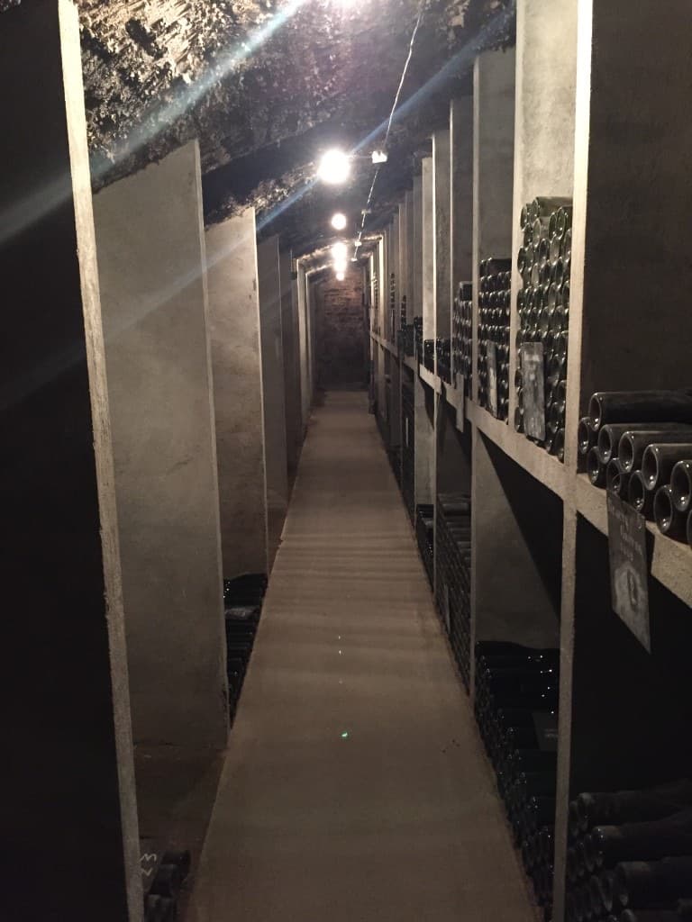 Private wine cellar racks — Selara Sommelier wine collection management